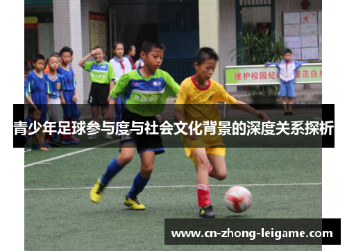 青少年足球参与度与社会文化背景的深度关系探析 青少年足球参与度与社会文化背景的深度关系探析